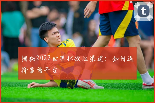 揭秘2022世界杯投注渠道:如何选择靠谱平台