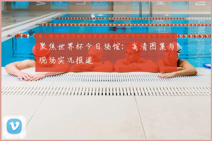 聚焦世界杯今日场馆：高清图集与现场实况报道